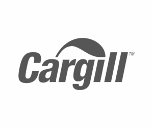 4Mesa de trabajo 1 copia 3